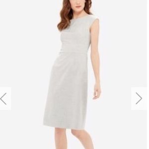The Limited Collection Sheath Dress in Light Gray